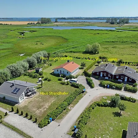 Daenische Ferienhaeuser Am Salzhaff Haus Wassermann Insel Poel