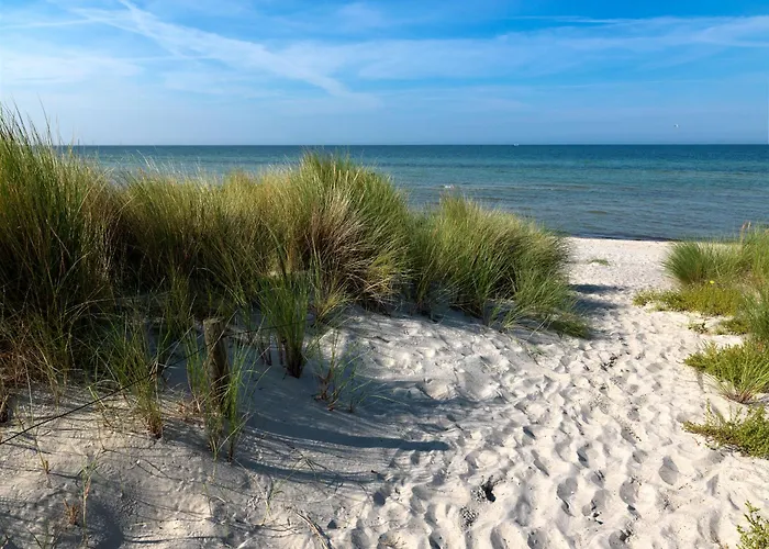 Daenische Ferienhaeuser Am Salzhaff Haus Wassermann Feriehus