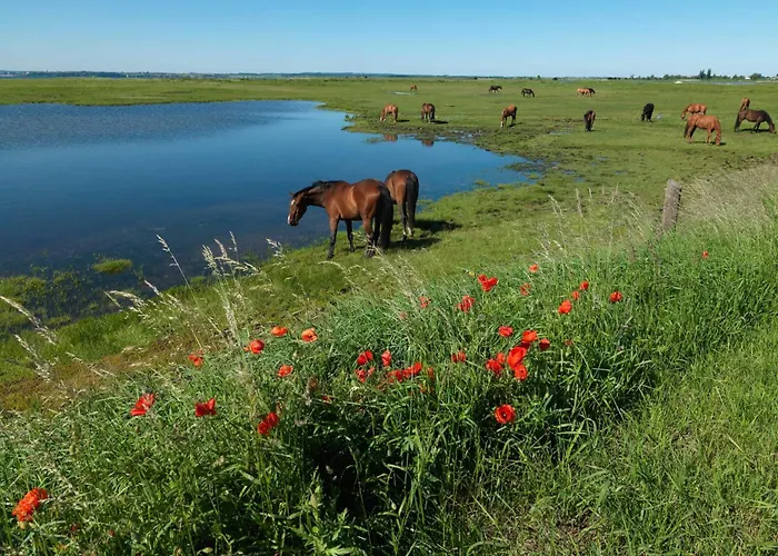 Feriehus Daenische Ferienhaeuser Am Salzhaff Haus Wassermann