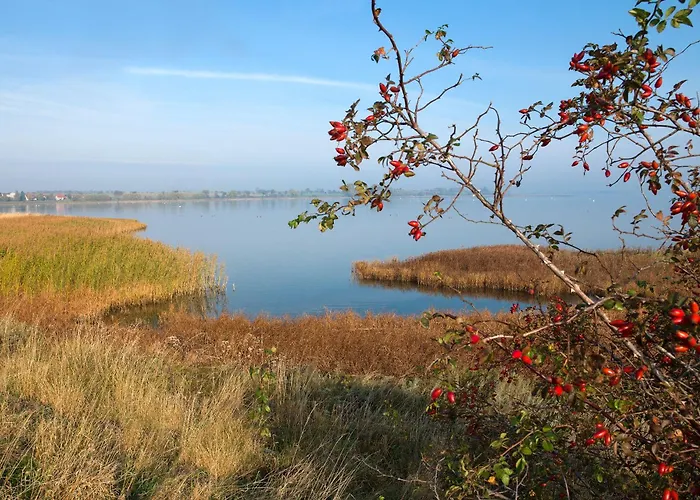 Daenische Ferienhaeuser Am Salzhaff Haus Wassermann Feriehus *