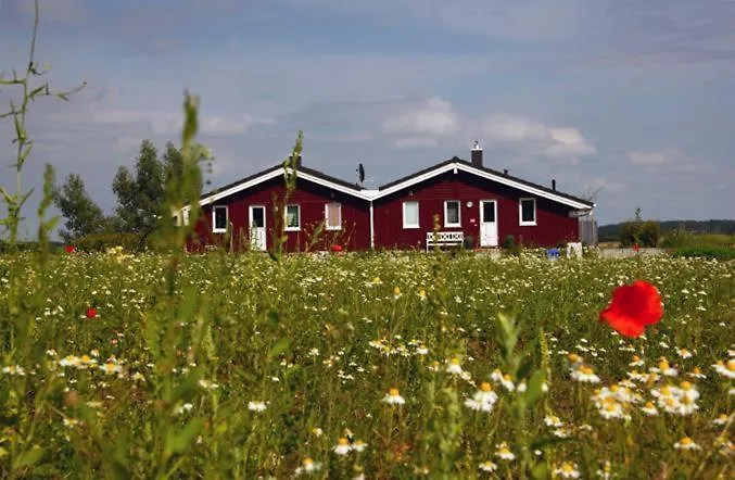 Feriehus Daenische Ferienhaeuser Am Salzhaff Haus Wassermann *